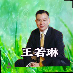 王若琳